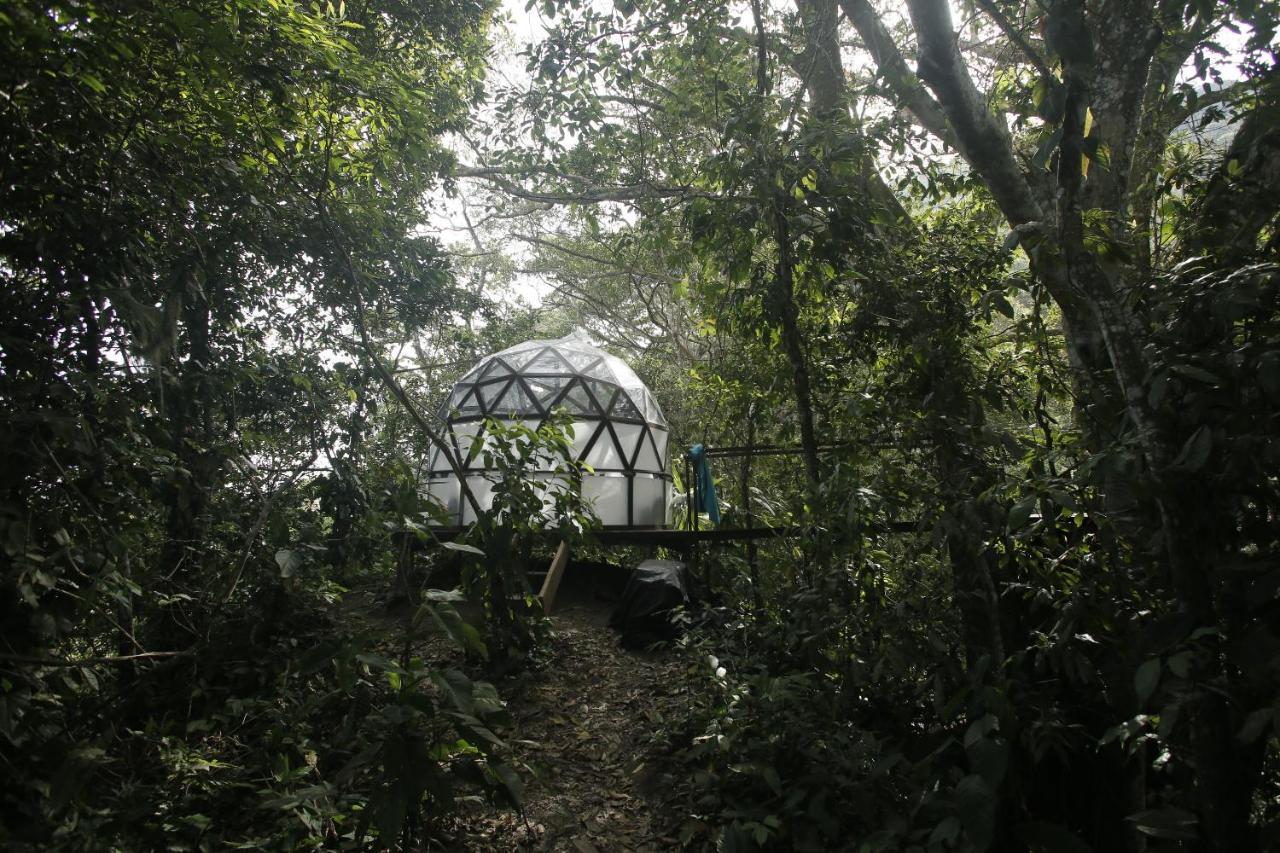 Taorayina Nature Lodge- Immersed In The Forest Ел Заино Екстериор снимка